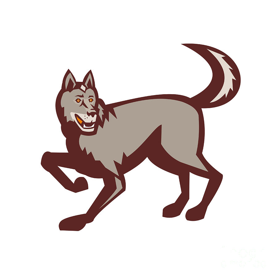 900x900 Gray Wolf Side View Retro Digital Art