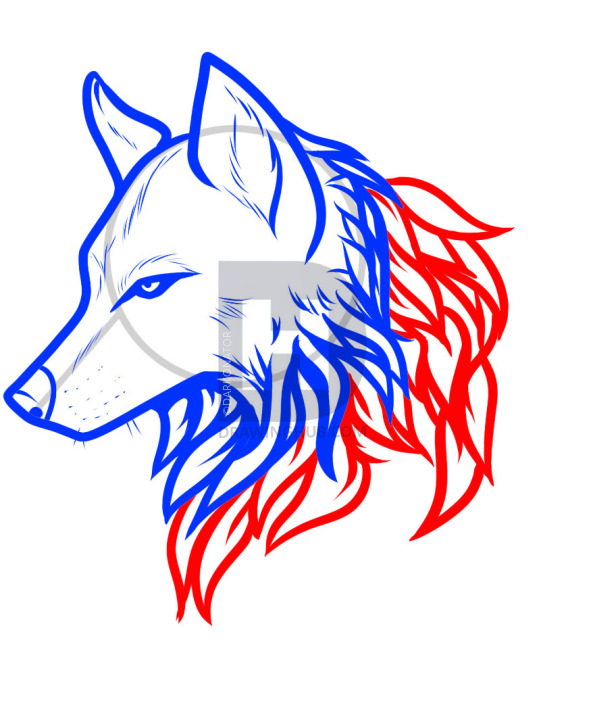 593x720 How To Draw A Wolf Tattoo, Wolf Tattoo, Step