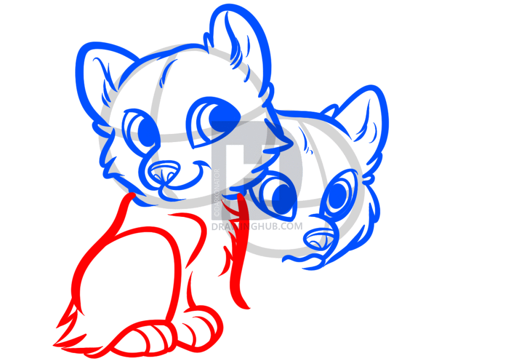 1027x720 How To Draw Wolf Puppies, Wolf Cubs, Step