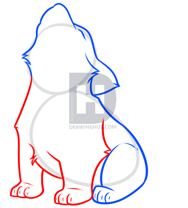 650x720 Howling Wolf Pup Drawing Tutorial, Step