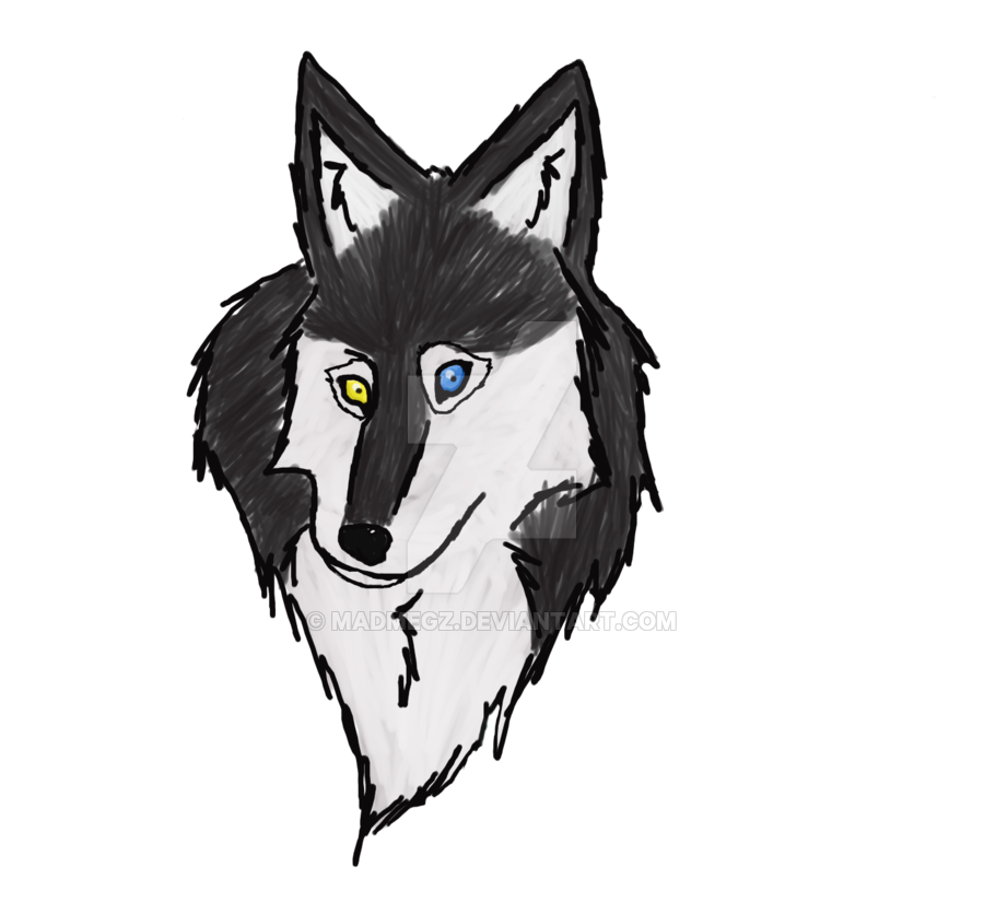 900x836 Mad Drawing Husky Transparent Png Clipart Free Download