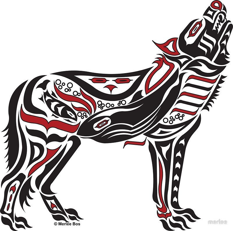 800x796 Native American Wolf Tattoos Drawings Ideas And Designs