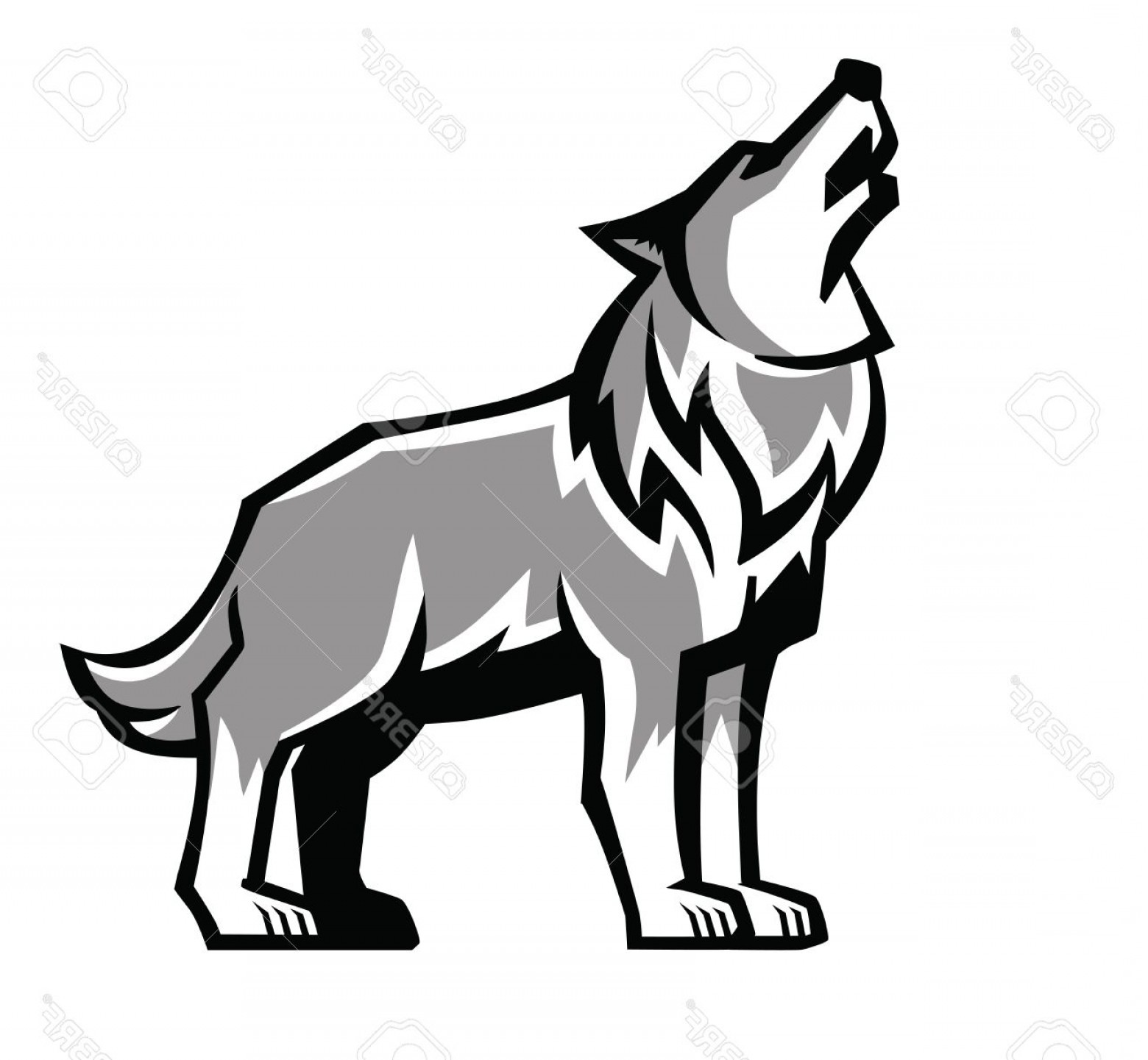 1560x1441 Photostock Vector Vector Black Wolf Howl Emblem On White