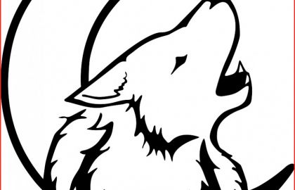 420x270 Wolf Howling