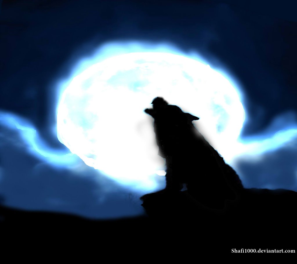 1024x910 Drawings Of Wolves Howling At The Moon Jerusalem House