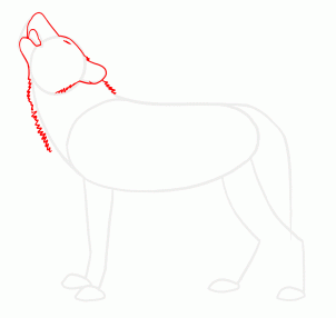 302x286 How To Draw Howling Wolves, Howling Wolf, Step