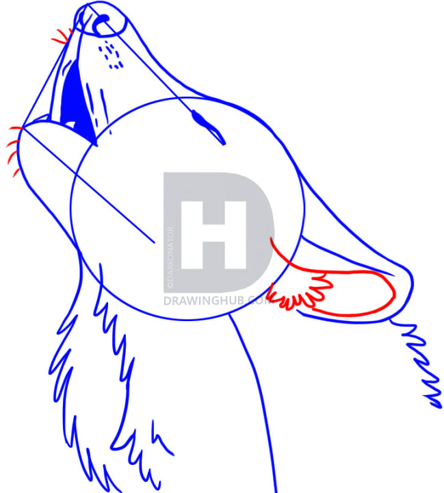 Wolf Howling Drawing | Free Download On ClipArtMag