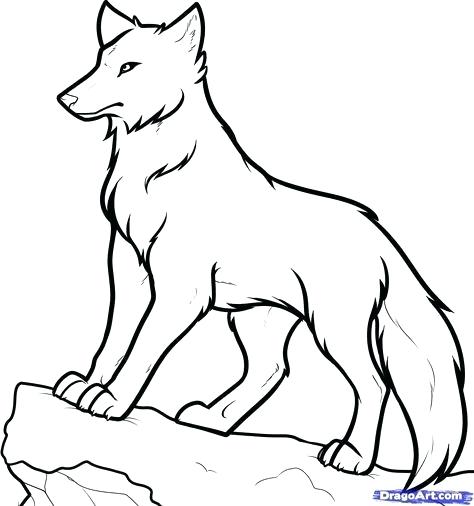 474x506 How To Draw A Howling Wolf How To Draw Wolf Howling At The Moon