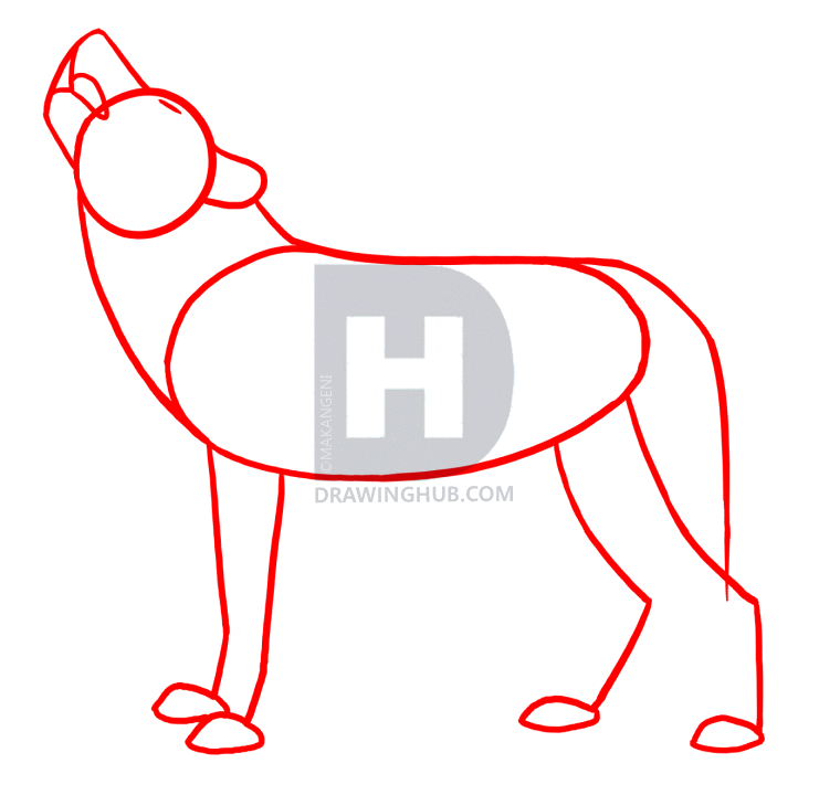 760x720 How To Draw Howling Wolves, Howling Wolf, Step