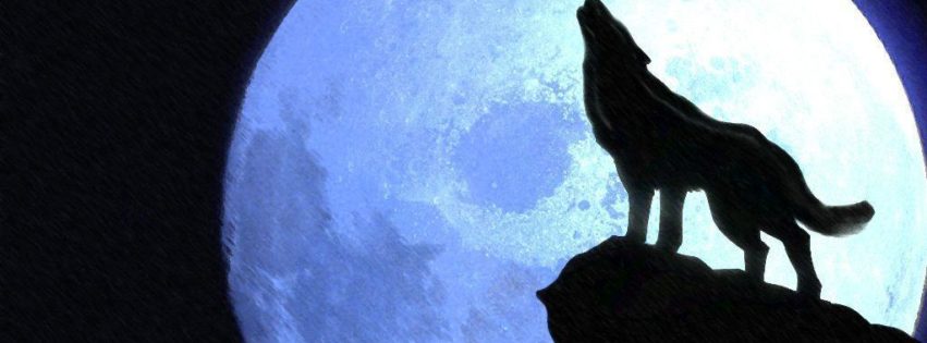 851x315 Drawing Of A Wolf Howling