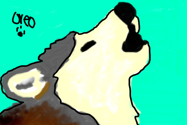 600x400 Wolf Howling