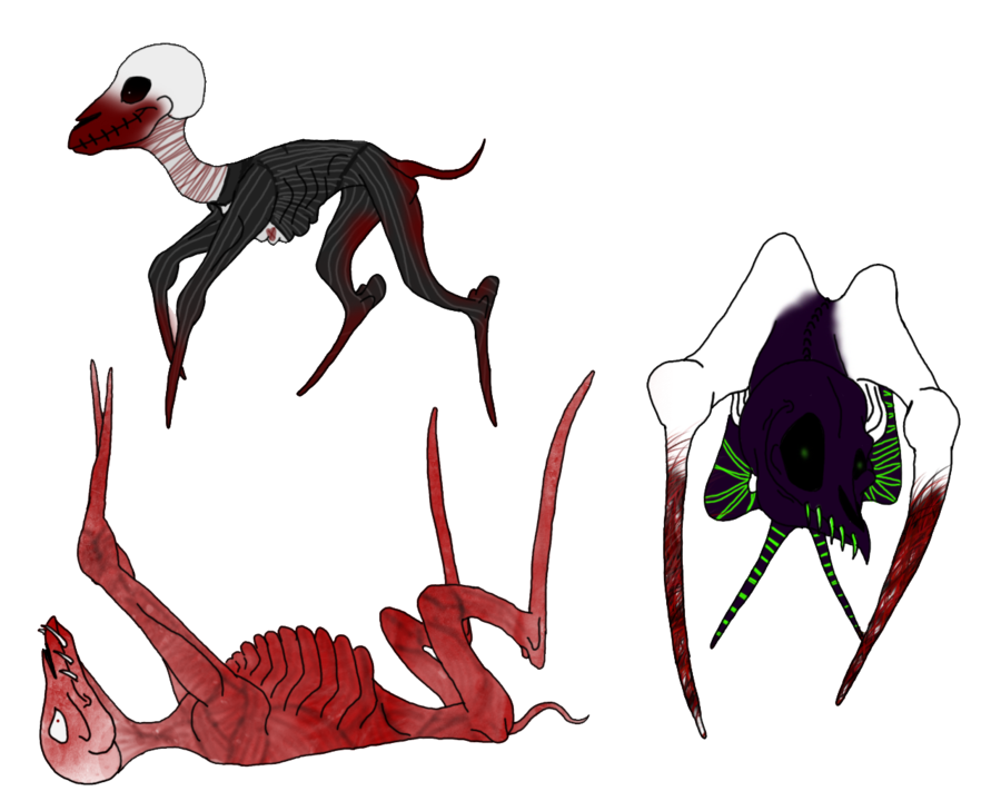 900x720 Wolf Howling Drawing Pictures And Cliparts, Download Free