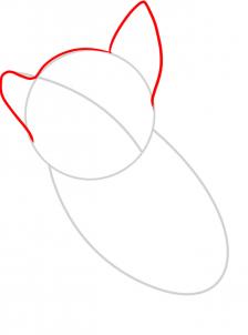 224x302 How To Draw How To Draw A Wolf For Kids