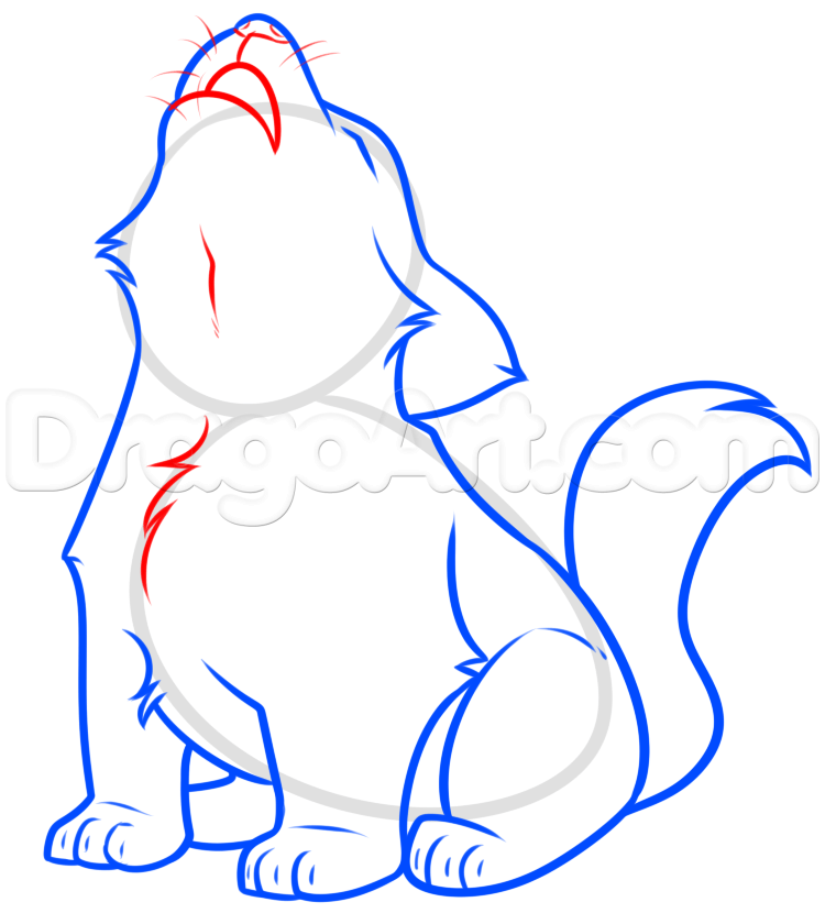 750x830 Howling Wolf Pup Drawing Tutorial, Step