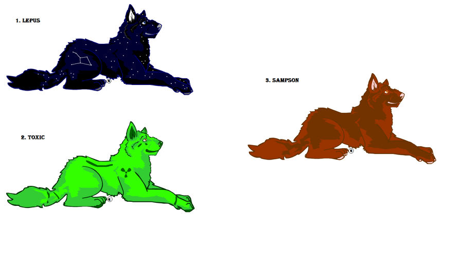 900x507 Breeding Wolf Males