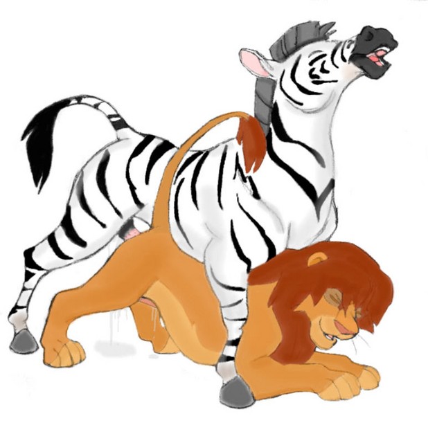 618x640 Lion King Mating Drawing