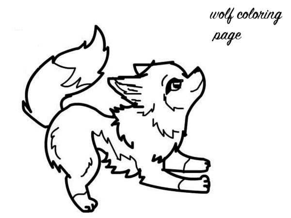 600x450 Animal Jam Wolf Pictures, Baby Wolves