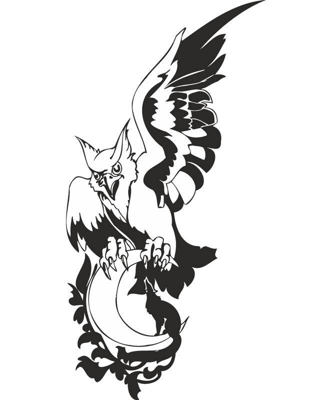 664x800 eagle wolf moon vector amee house