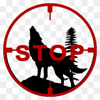 320x319 These Are Moon Rats The Drawings Were Done In Flash