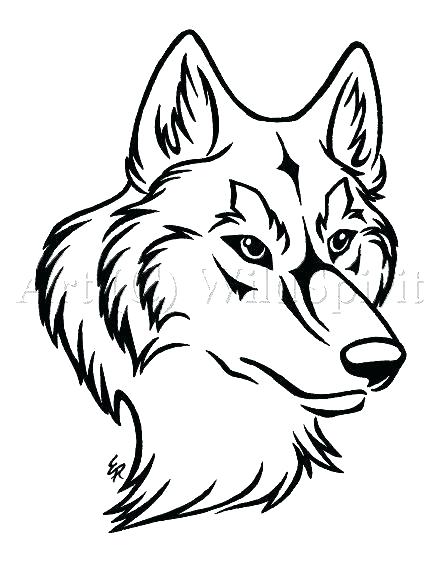 440x568 Wolf Face Outline Drawing Step