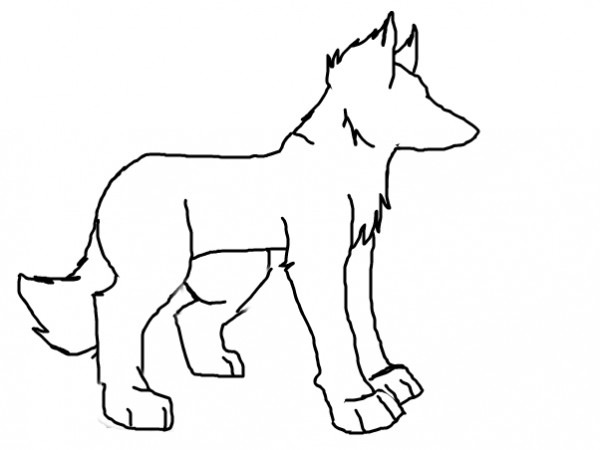 600x450 Wolf Outline Drawing