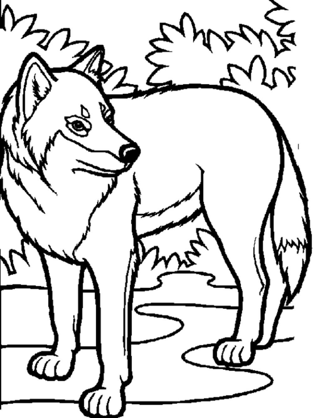 1000x1334 Wolf Pack Free Coloring Pages On Art Coloring Pages