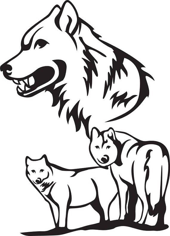 570x788 Wolf Pack Thinking Wolf, Animal Drawings, Packing