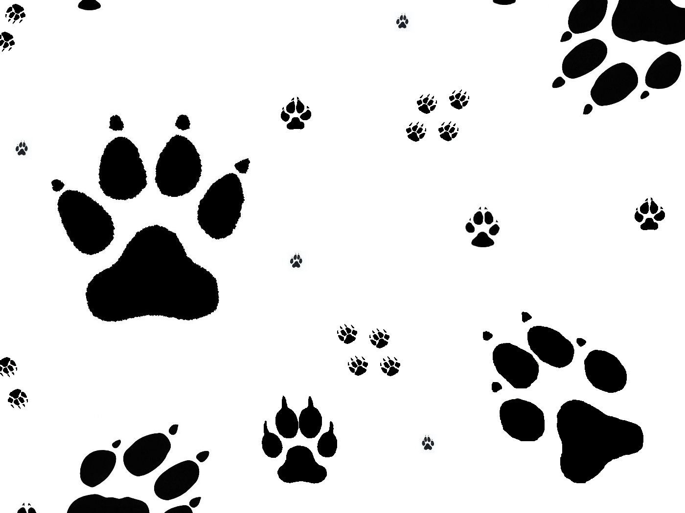 1400x1050 Drawing Wolf Paw Print Circle