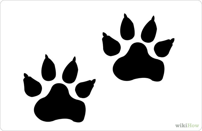 670x434 Drawings Of Paw Prints