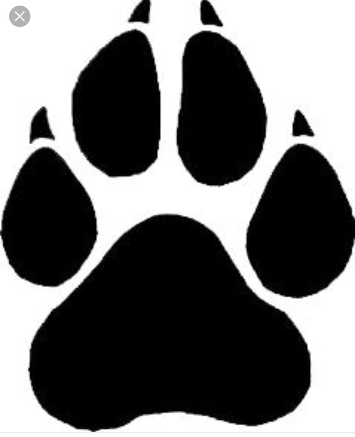 1242x1529 Go Freshmen Panthers Go