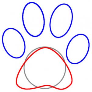302x302 Draw A Paw Print, Step