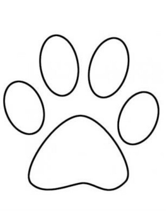 529x696 Huge Collection Of 'pawprint Drawing' Download More Than