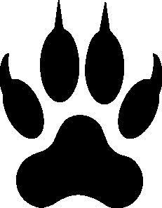 Wolf Paw Print Drawing | Free download on ClipArtMag