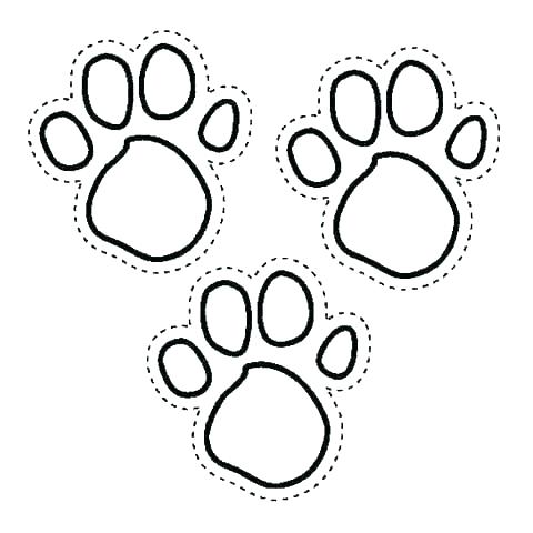 480x480 Blues Clues Paw Print