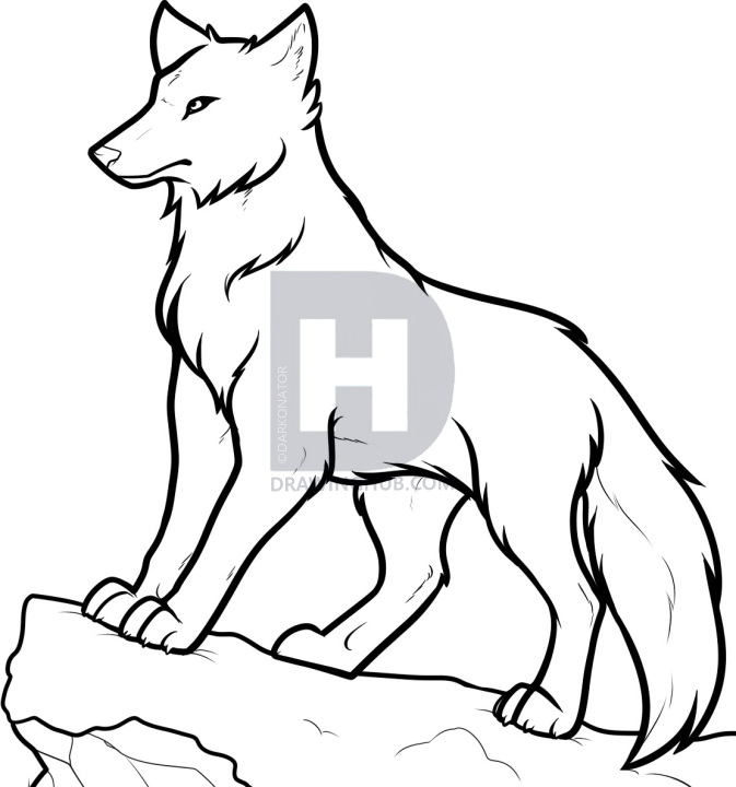 673x720 How To Draw Anime Wolves, Anime Wolves, Step