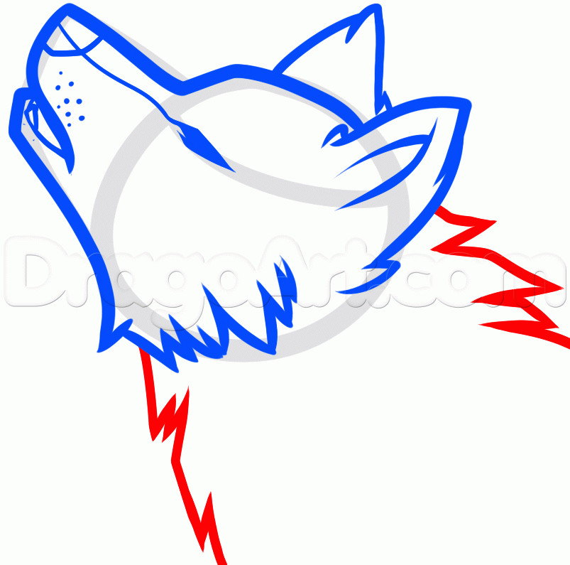 803x795 How To Draw A Howling Wolf Easy, Step