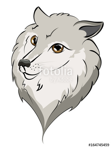 375x500 Cute Wolf Portrait Stock Image And Royalty Free Vector