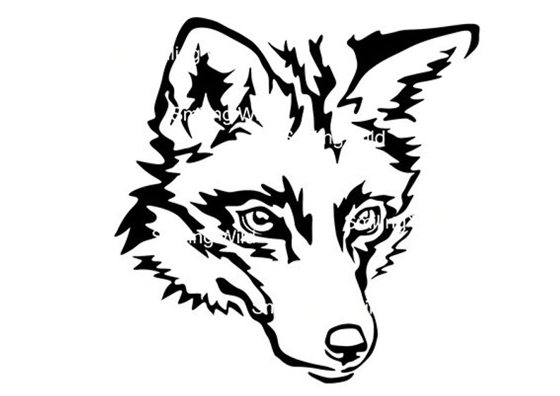 794x562 Fox Portrait Wild Animal Vector Art Fox Clipart Etsy