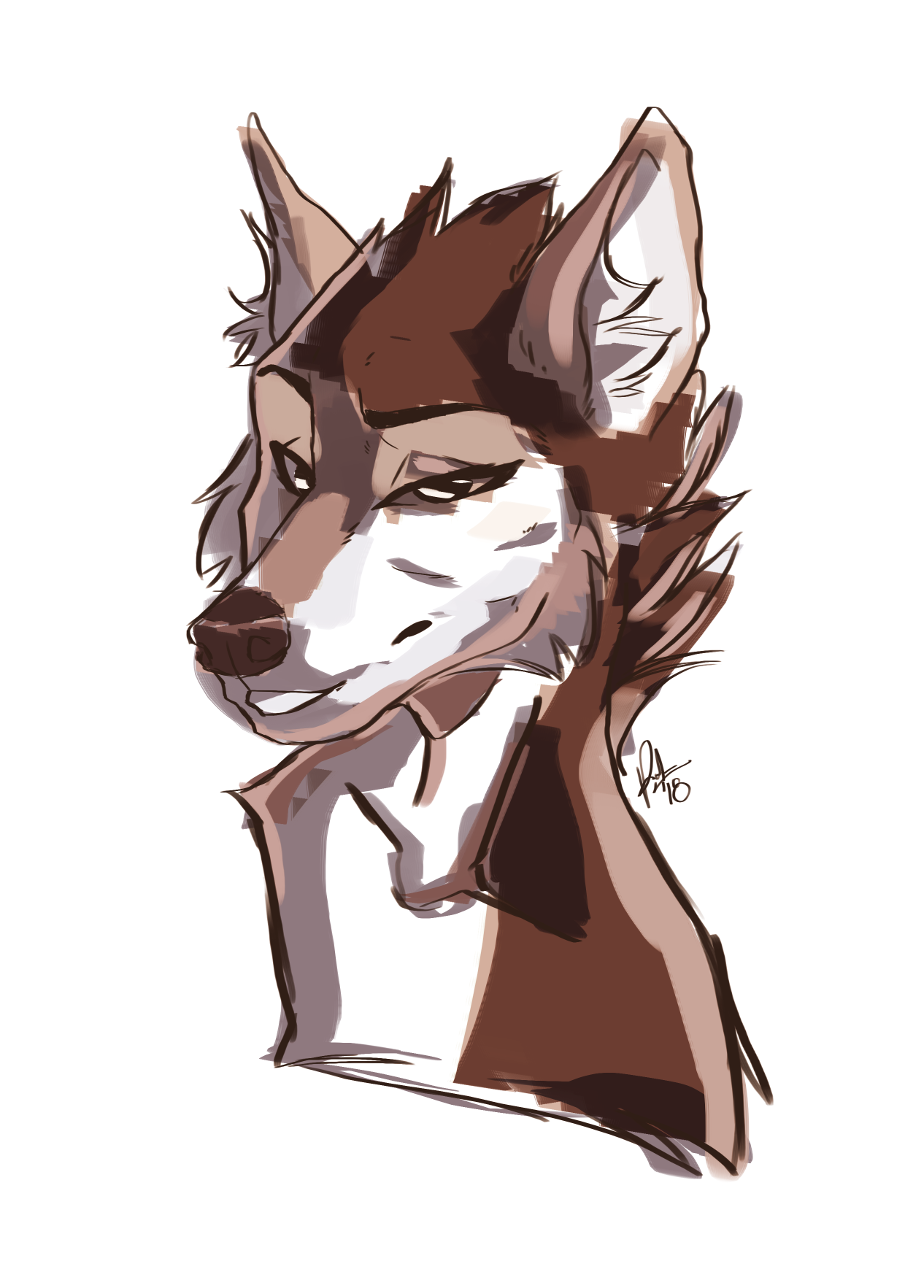 905x1280 Portrait Of A Wolf