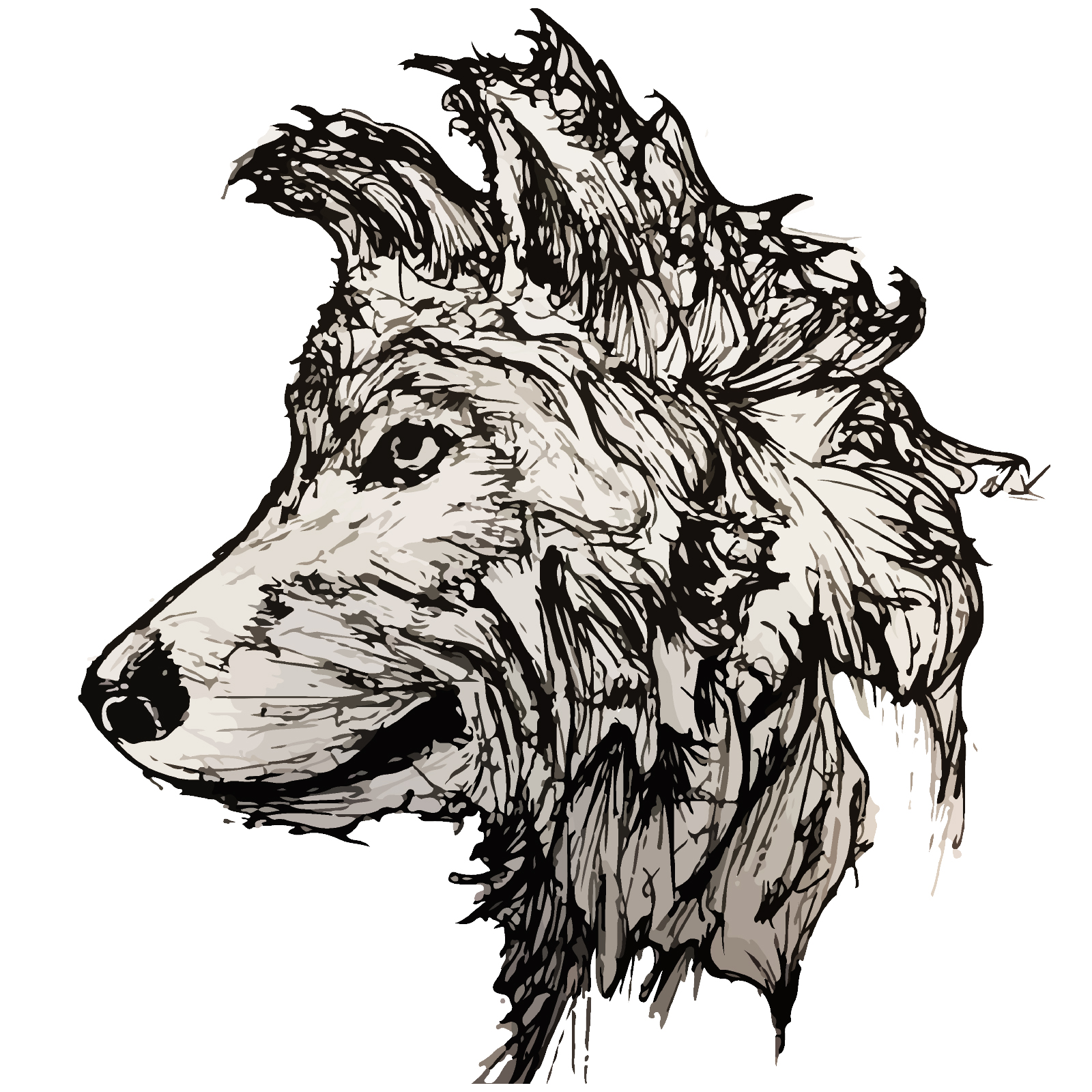 1600x1600 Folios The Aoi