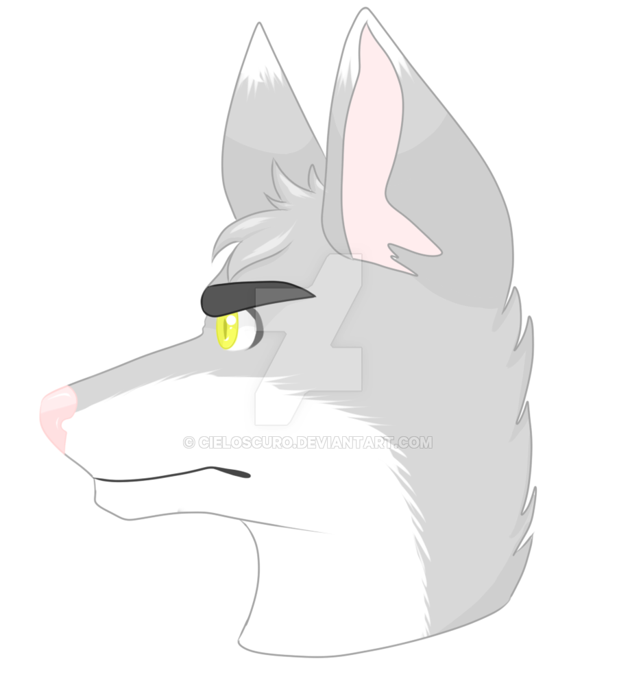 900x990 Profile Wolf