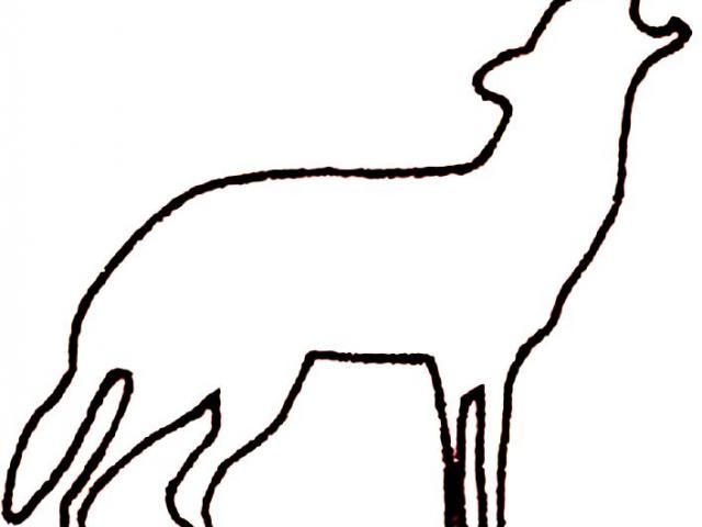 640x480 Arctic Wolf Clipart Wolf Profile