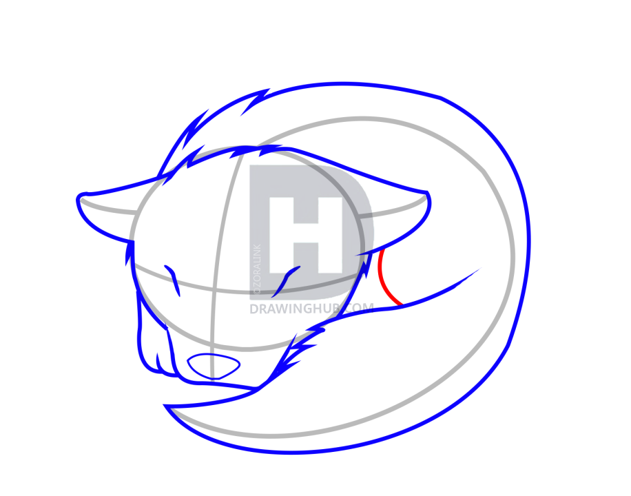 916x720 How To Draw A Sleeping Wolf Pup, Step