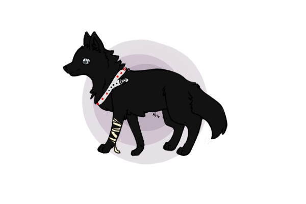 600x400 How To Draw Wolf Pup