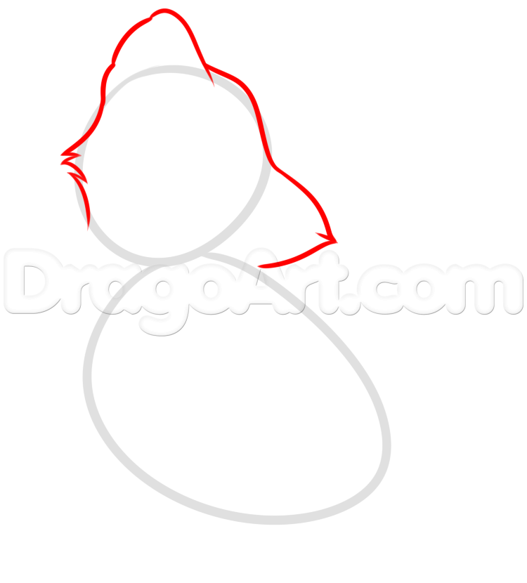 750x830 Howling Wolf Pup Drawing Tutorial, Step