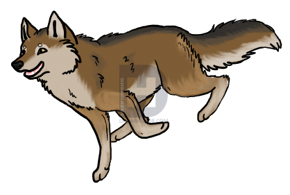418x281 How To Draw A Wolf Running, Step