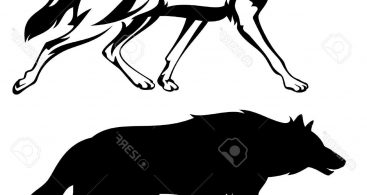 367x195 Running Wolf Silhouette Archives