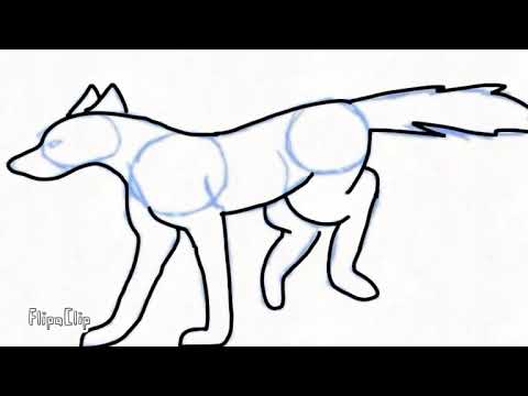 480x360 Wolf Running Test