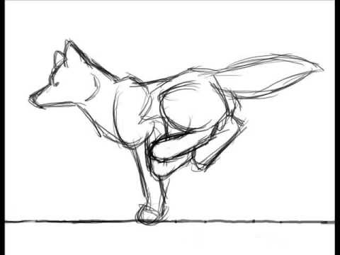 480x360 Running Wolf Animation