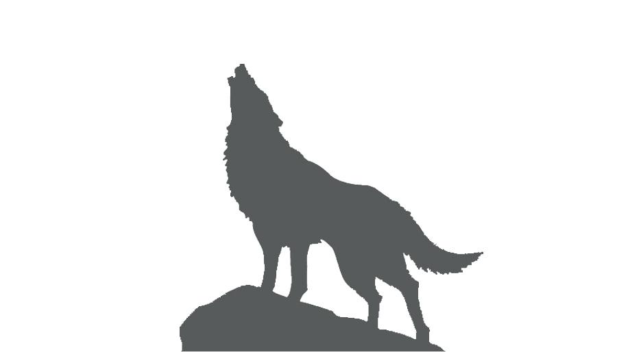 900x520 Wolf Stencil Designs Drawing Jack O Lantern Template Download